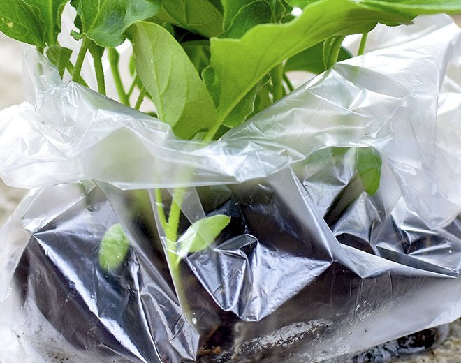 Gigantic Bag Gusset Bags - Customizable Packaging with Increased Capacity