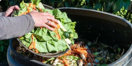 Reducing Food Waste