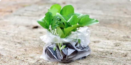 How to Toss the Waste Out of Your Commercial Facilities Budget